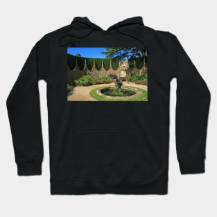 The Corona Garden Hoodie